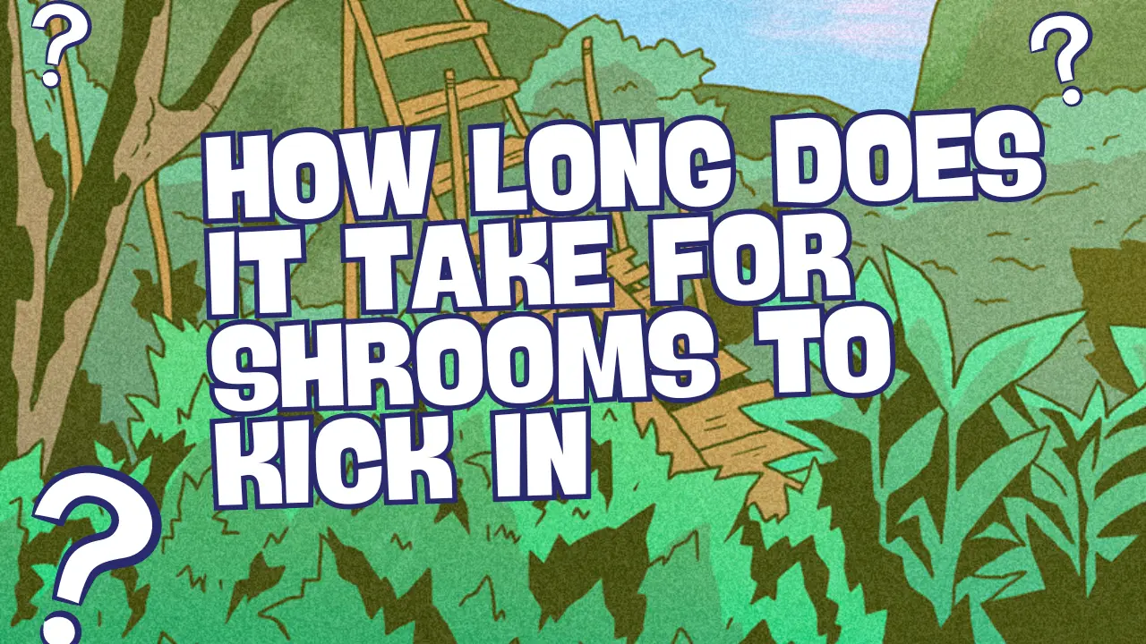 How Long Does It Take for Shrooms to Kick in